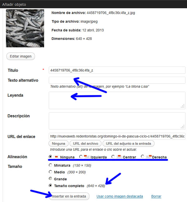 Configurando como insertar la imagen elegida